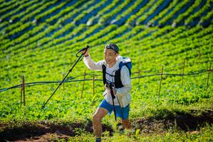 BIB: 
                            <button type="button" onclick="openModal(19160307)" class="btn btn-primary btn-sm float-right btn-popup" data-toggle="modal" data-target=".modal-high-quality">
                        <i class="fas fa-shopping-cart"></i> Add to Cart
                    </button>
                                            <button type="button" onclick="isThisMe(19160307, true)" class="btn btn-success btn-sm float-right btn-popup btn-isme hidden" data-toggle="tooltip" data-placement="bottom" title="นี่คือรูปของคุณใช่ไหม คลิกที่นี่เพื่อเอาเข้าอัลบั้ม">
                        <i class="fas fa-plus"></i> Add to album
                    </button>
                    <button type="button" onclick="isThisMe(19160307, false)" class="btn btn-warning btn-sm float-right btn-popup btn-isnotme hidden">
                        <i class="fas fa-ban"></i> Remove from album
                    </button>